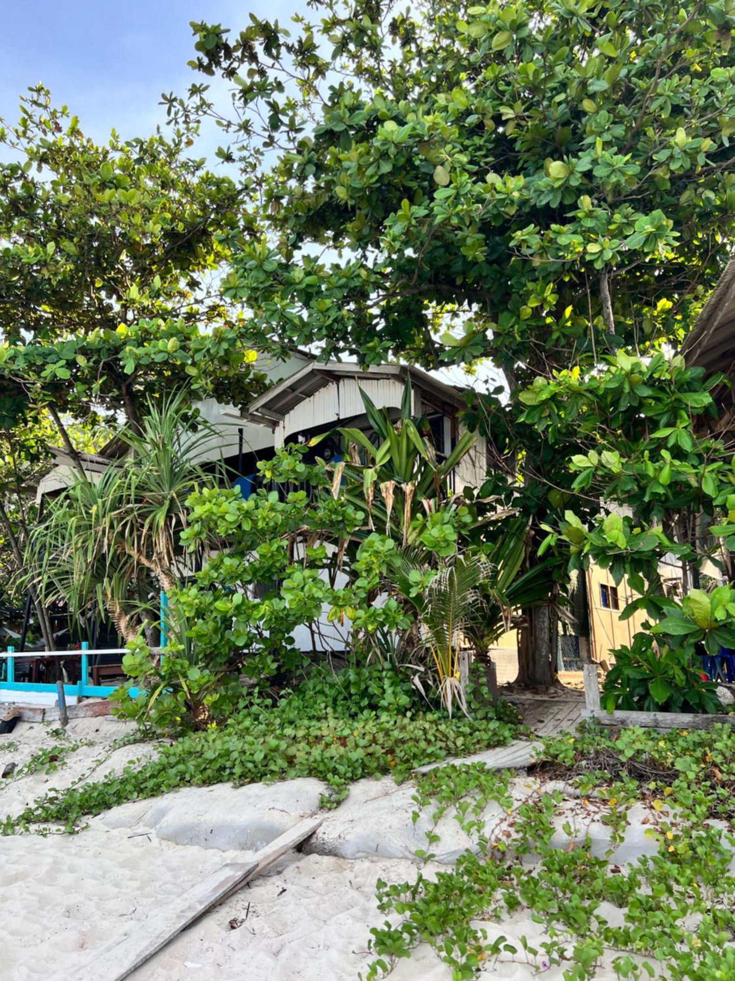 Ohlala Guesthouse Îles Perhentian Extérieur photo
